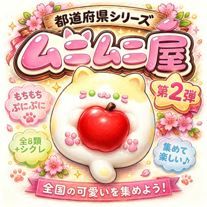 都道府県シリーズ第二弾 　ブラインドボックス